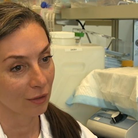 Dr Gelareh Zadeh, Head of the Division of Surgical Oncology, Department of Surgery, University Health Network, Toronto, Canada Targetting clinically challenging meniniomas