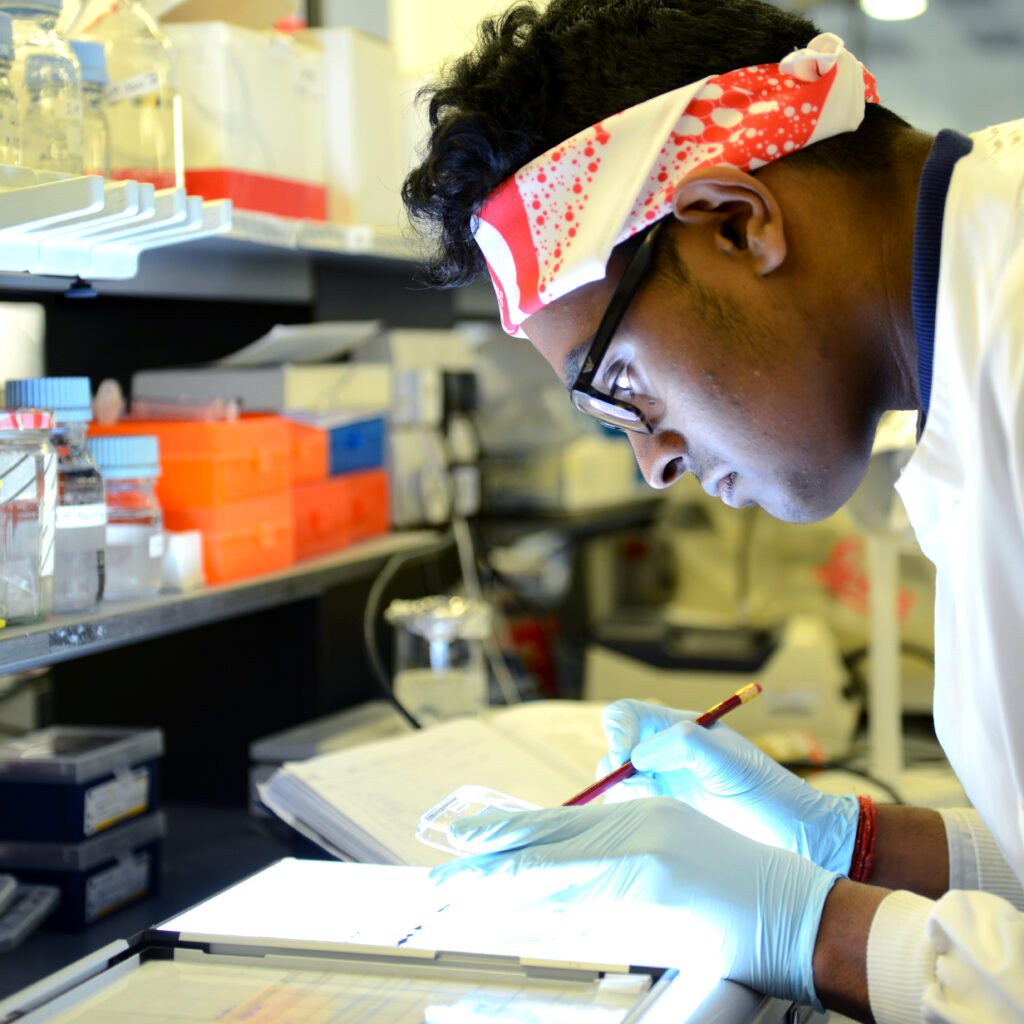 A researcher, a young person of colour wearing a lab coat, blue latex gloves and red, The Brain Tumour Charity-branded bandana, investigates samples over a lightbox.
